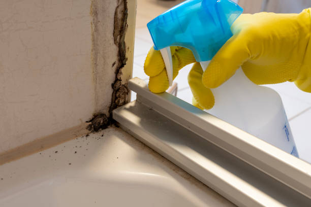 Best Mold Remediation for Healthcare Facilities  in Kimberly, AL